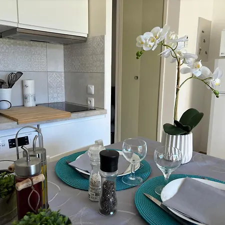 Apartment Proche Centre Climatise 4 Personnes *